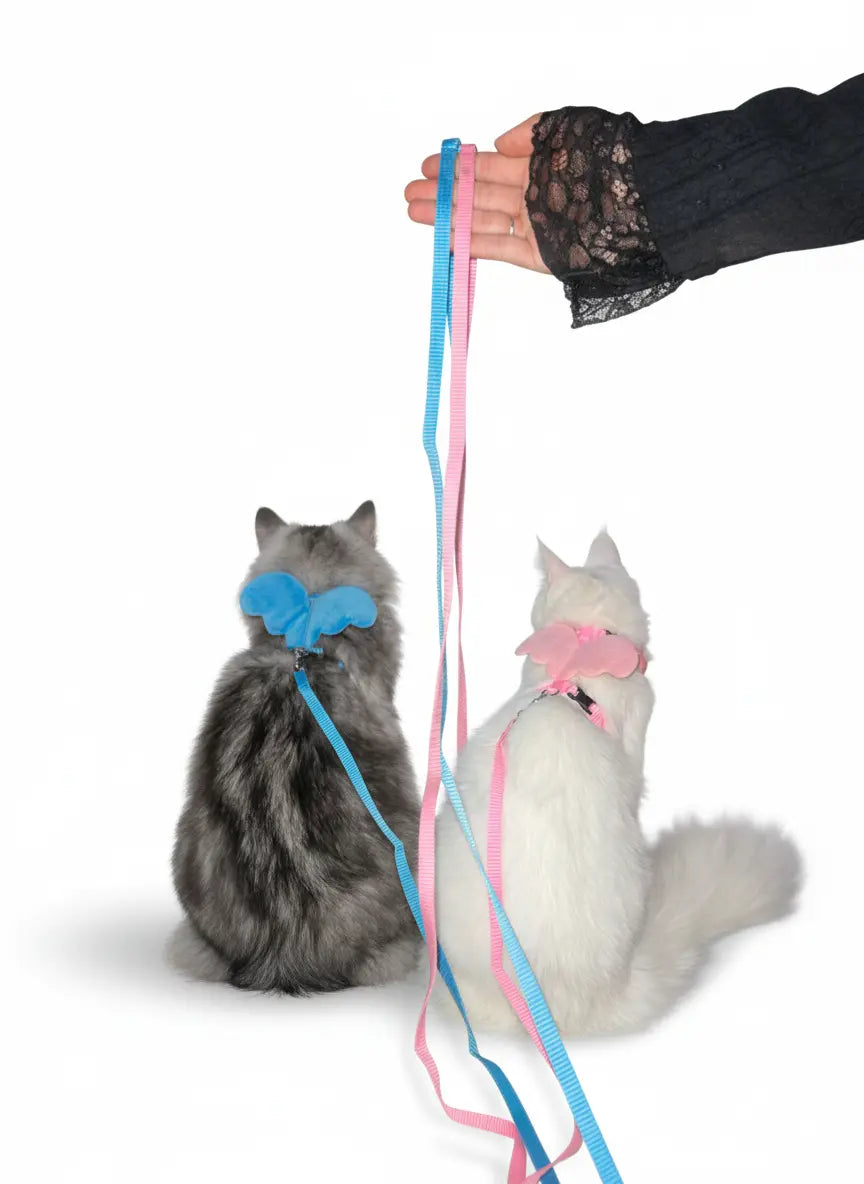 Leo's Butterfly Leash & Harness Set