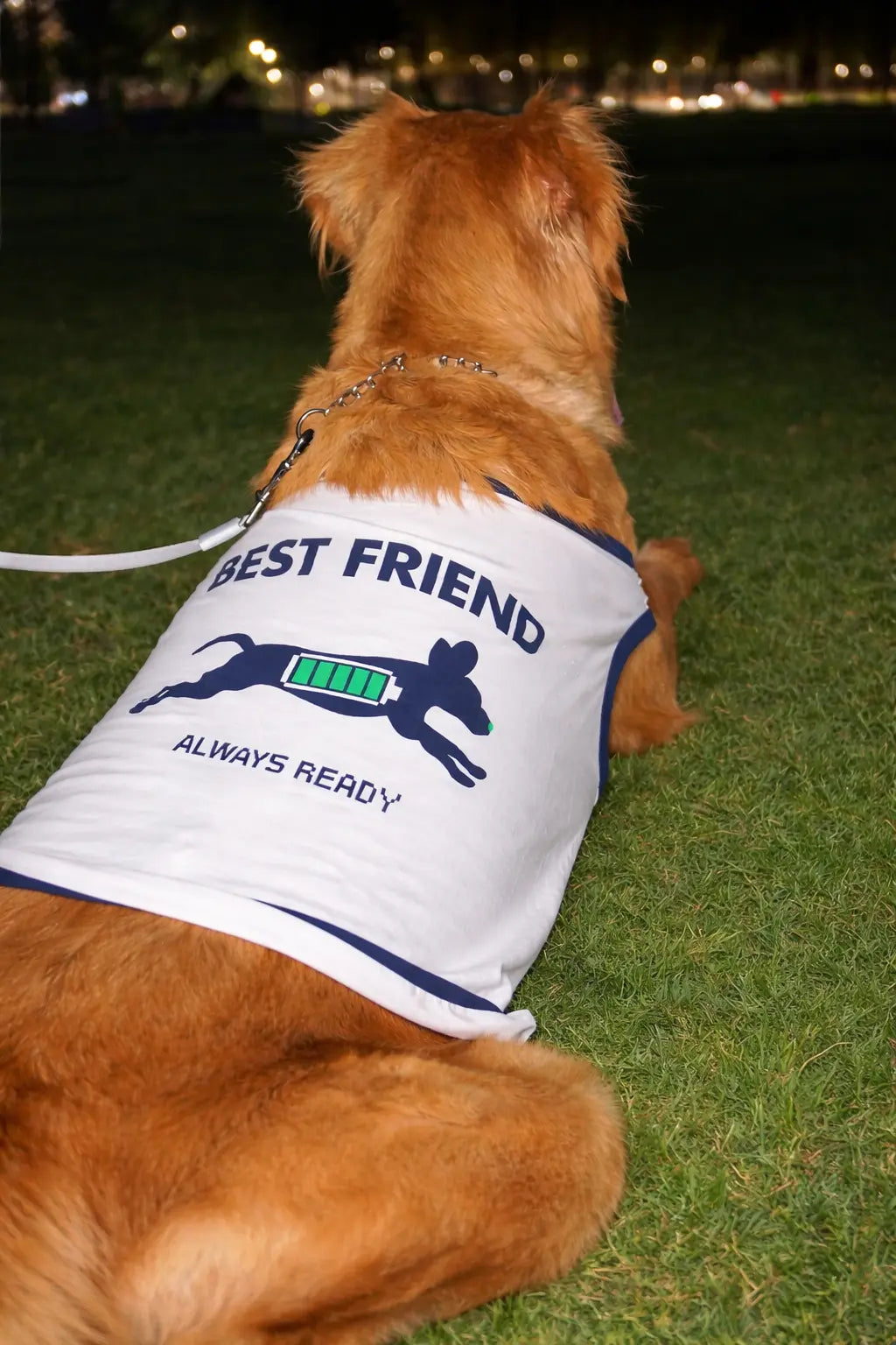 Best Friend Summer Tshirt
