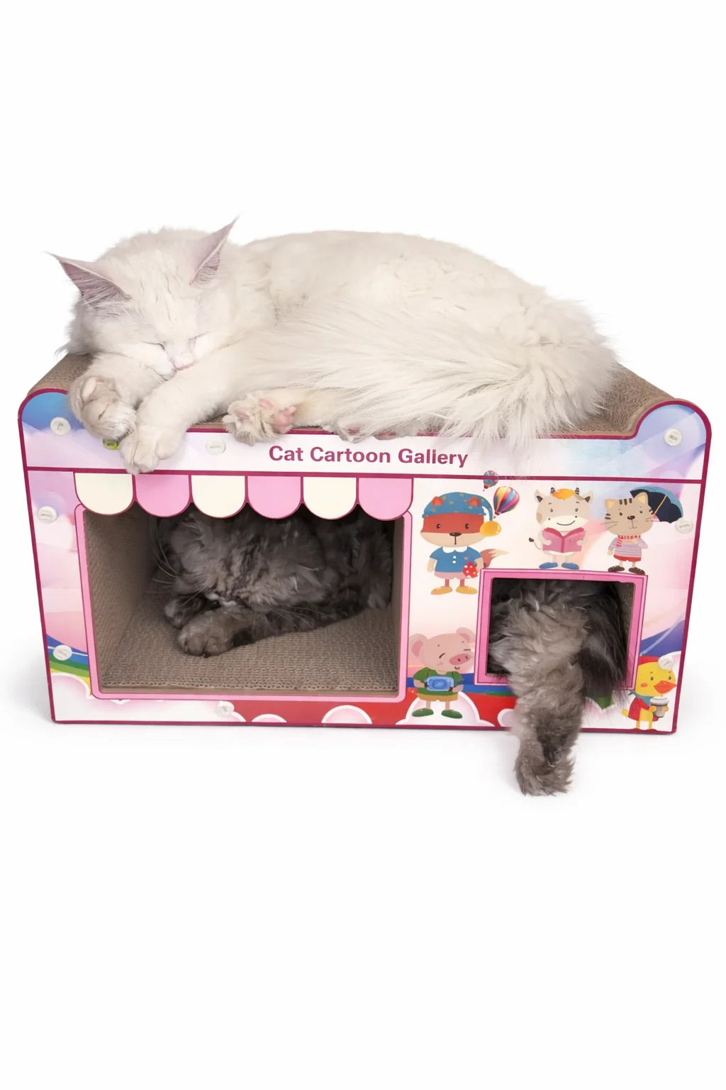 Cat Cartoon Scratcher House