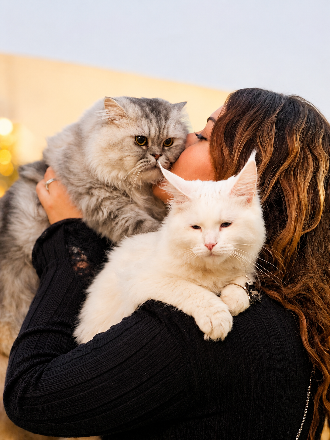 Cats