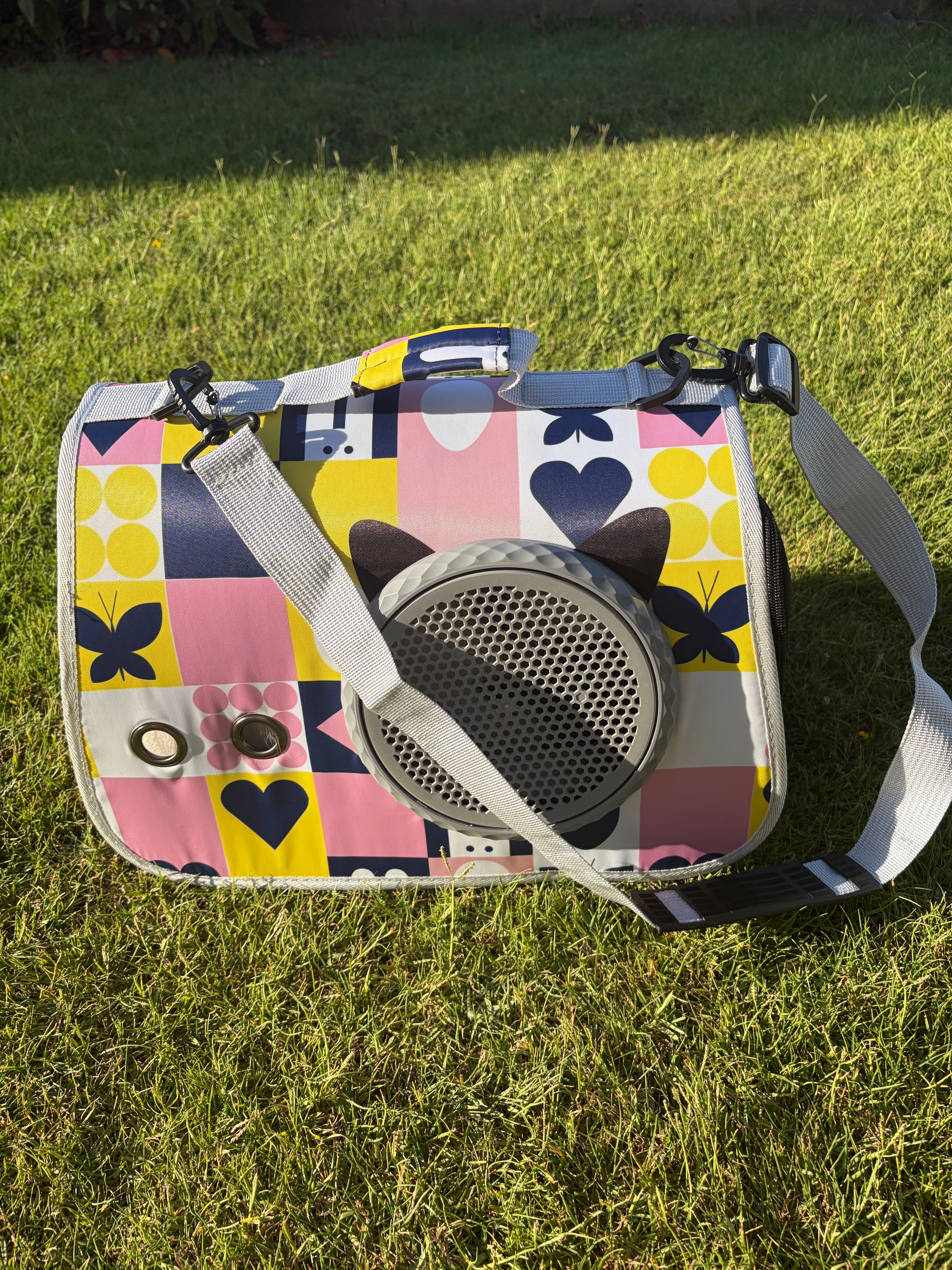 The solo cat bag