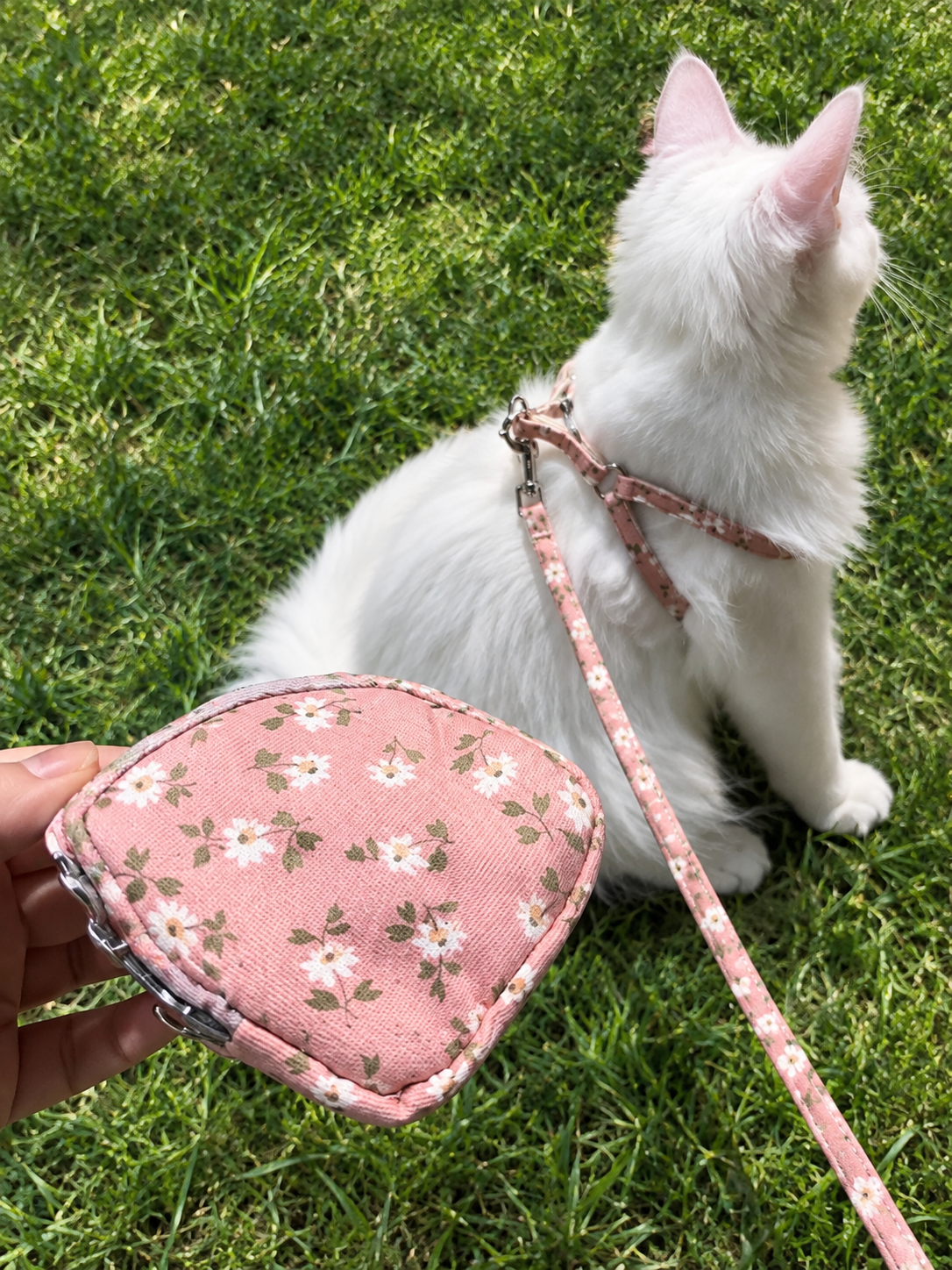 Pocket Leash