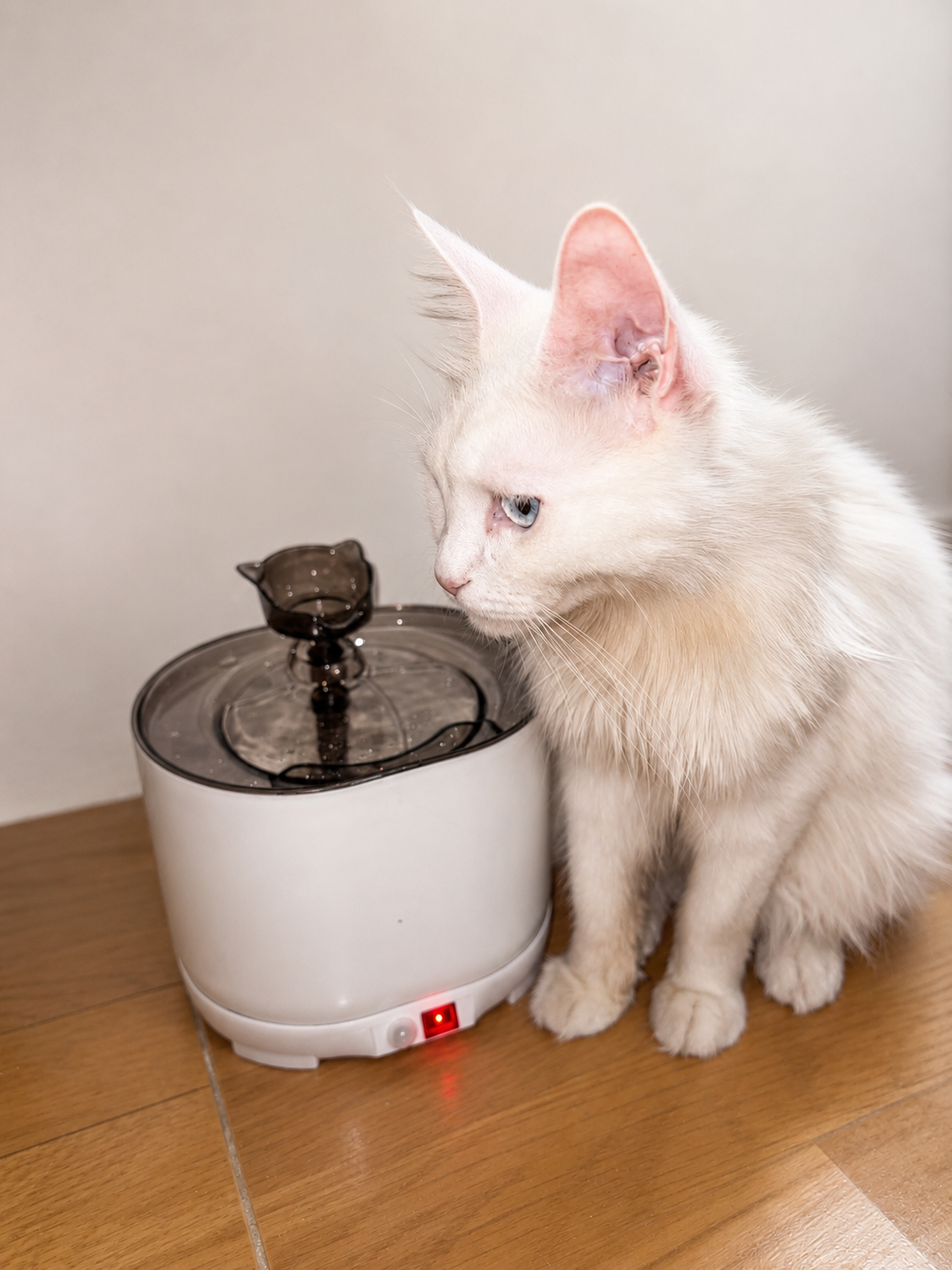 Smart Sensor Rechargeable Pet Water Fountain