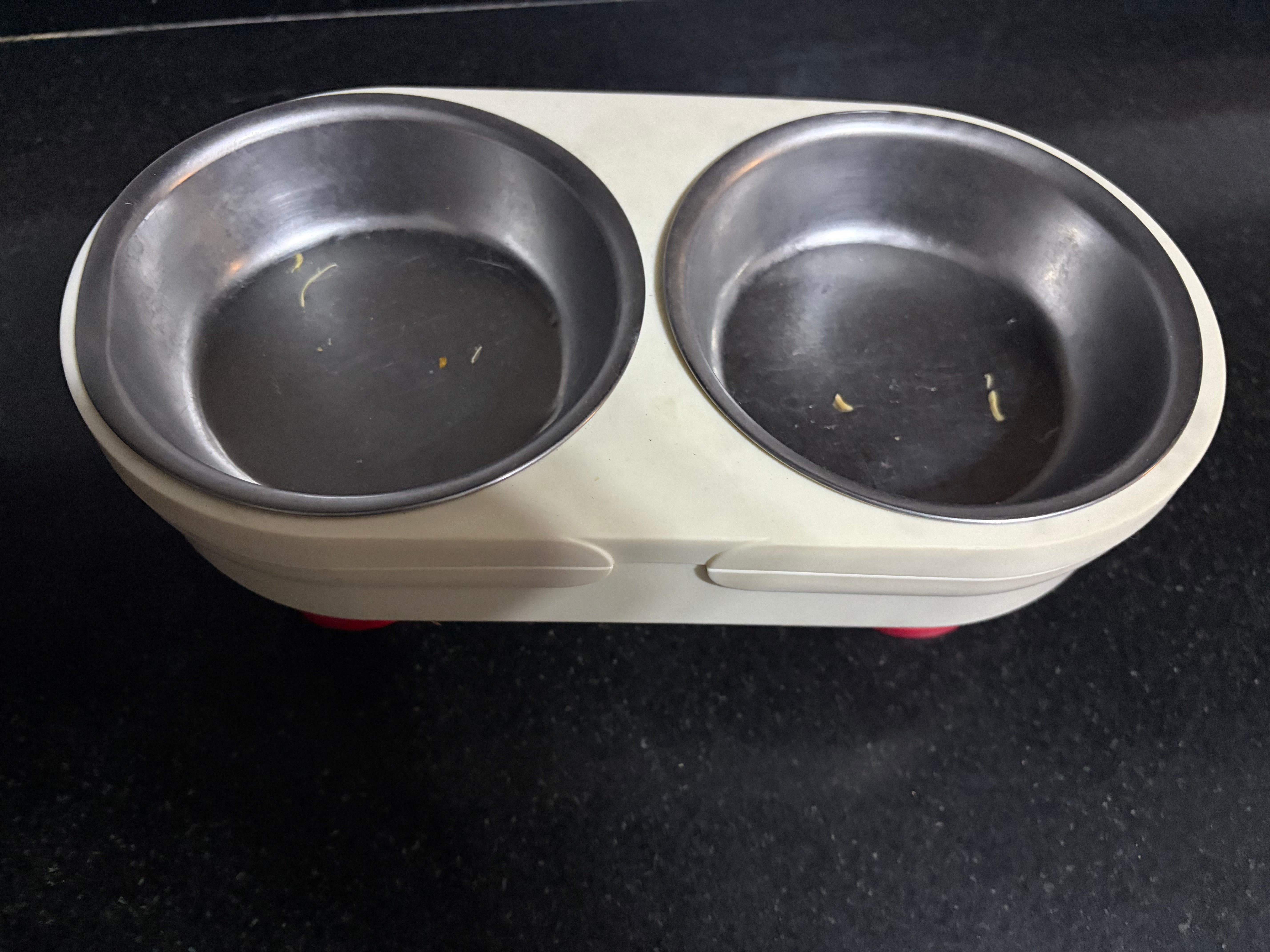 Cute Double Elevated Pet Bowl