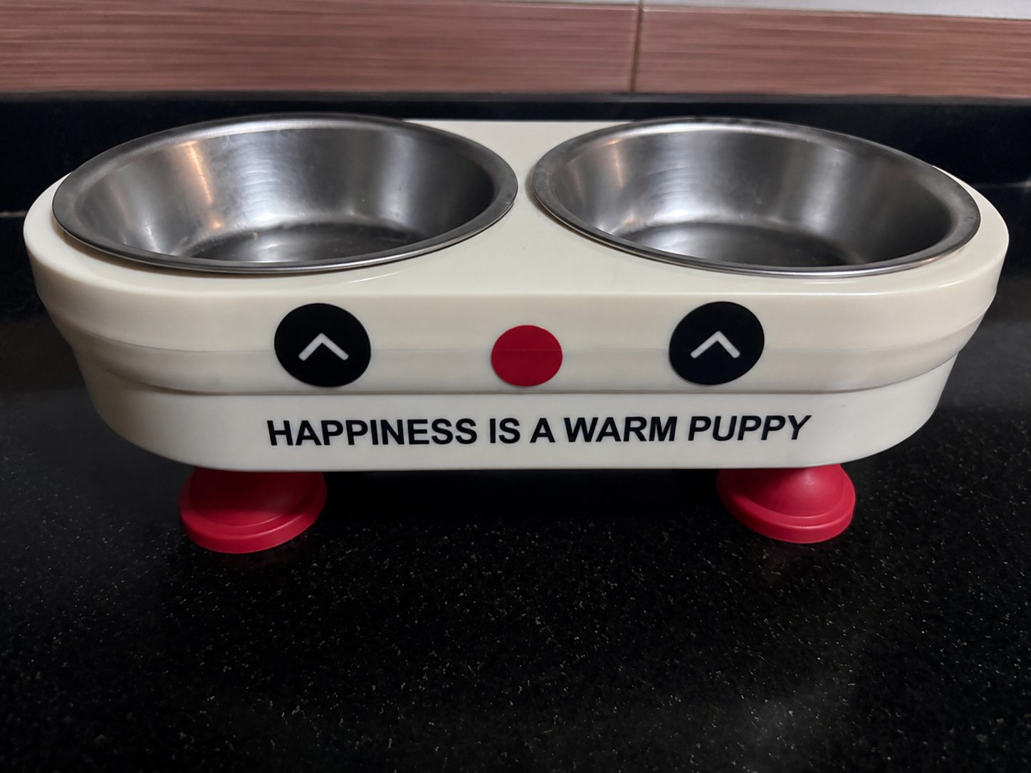 Cute Double Elevated Pet Bowl