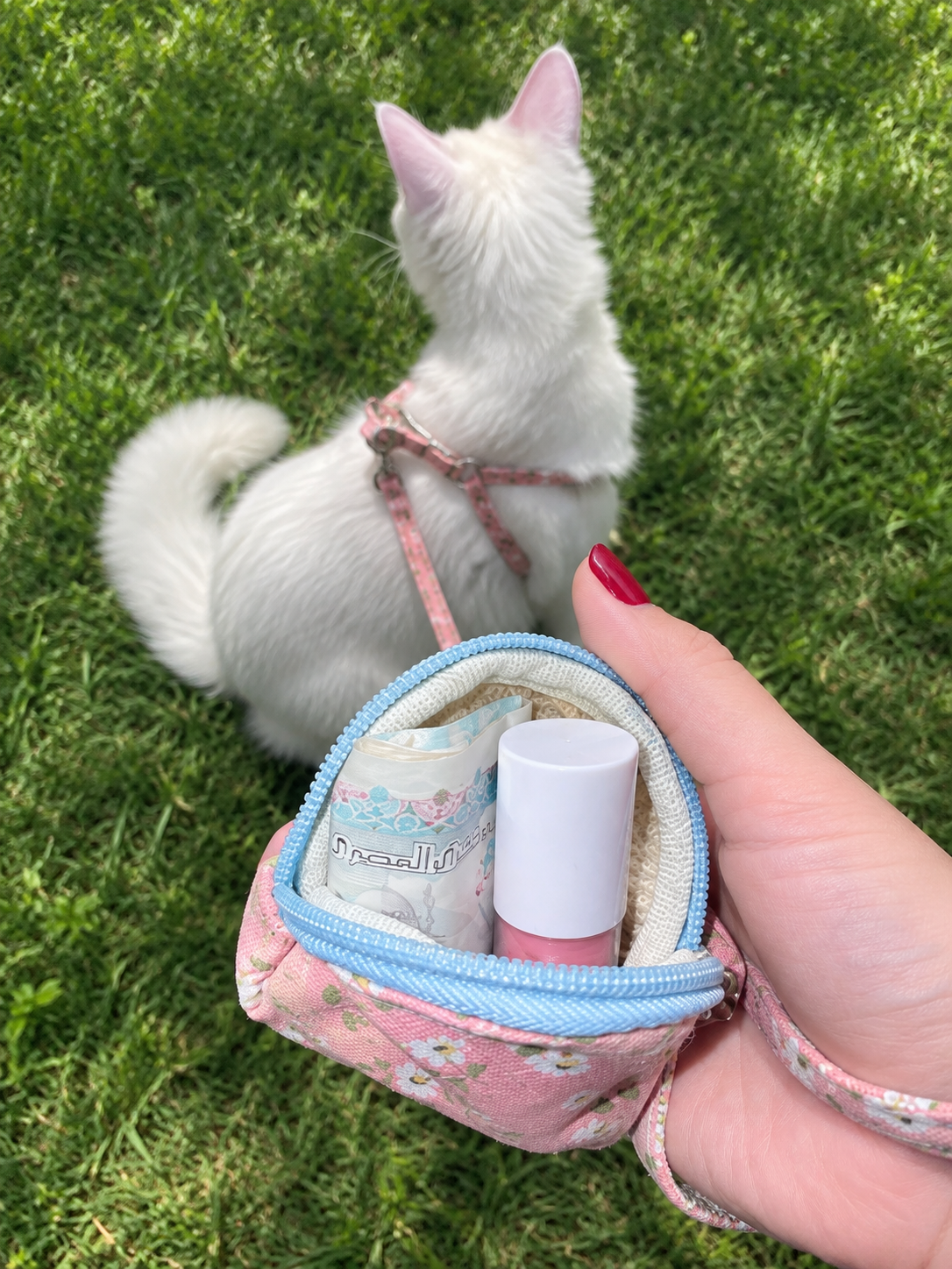 Pocket Leash