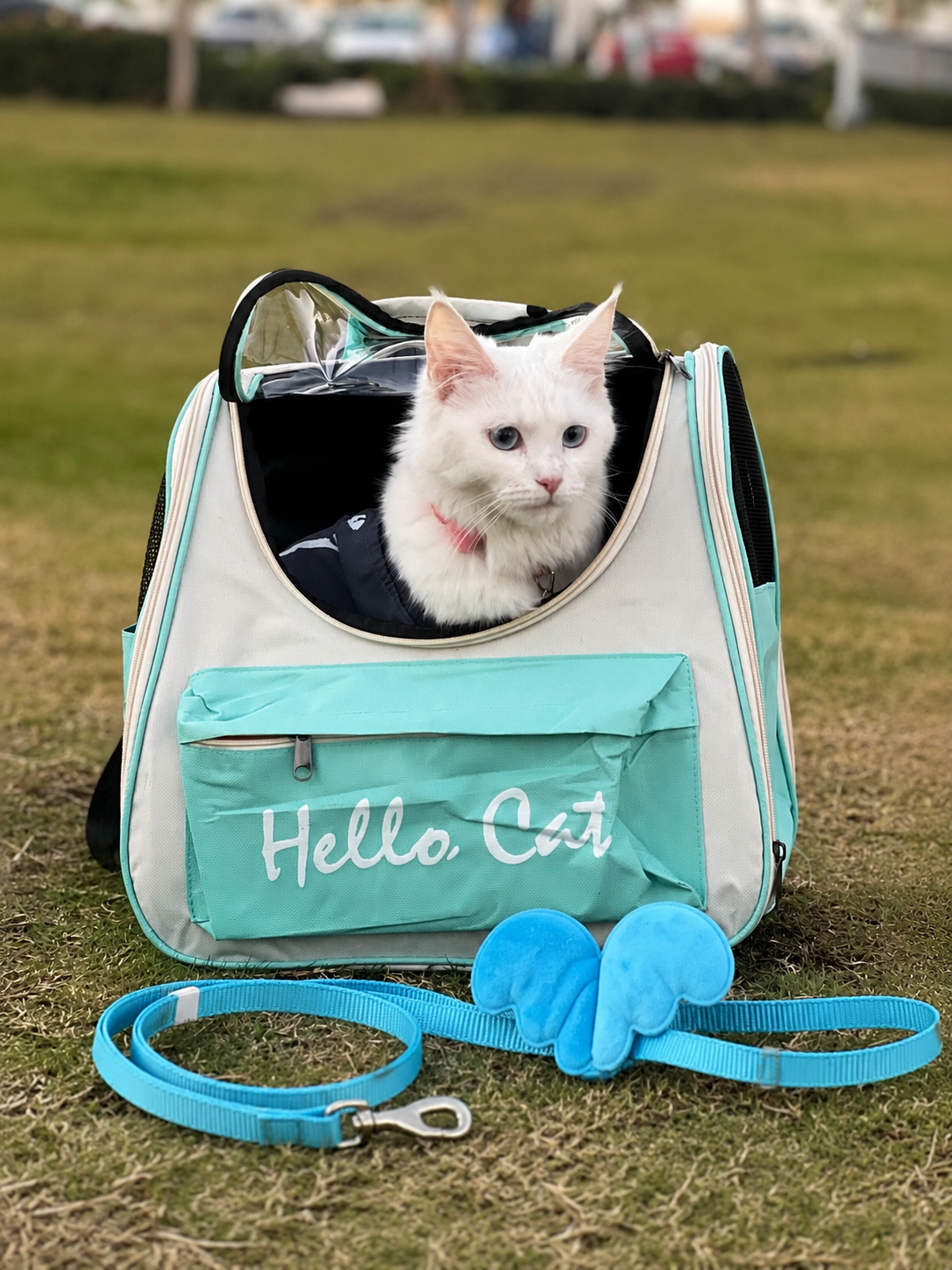 Cat Bag + Leash Bundle