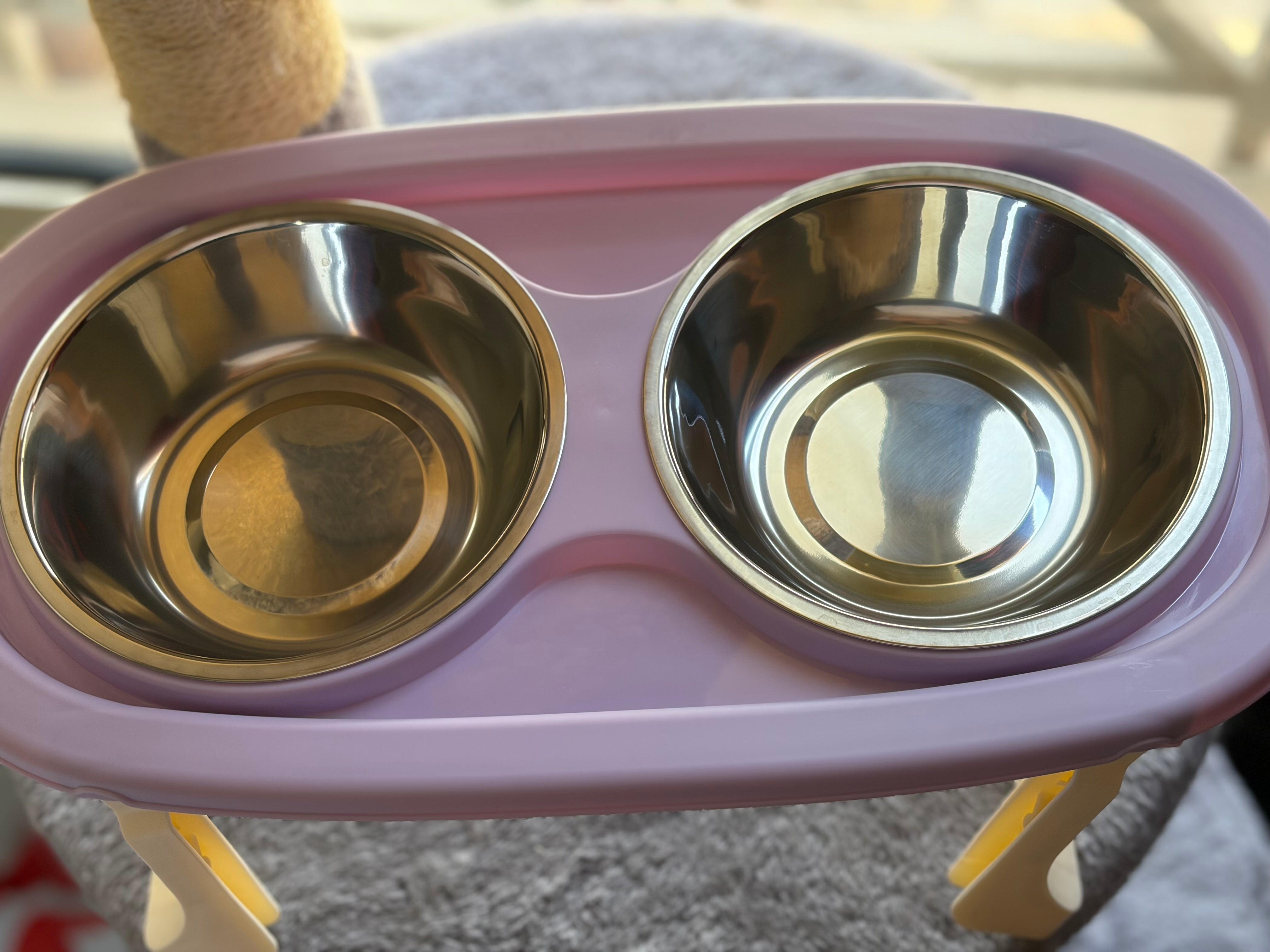Elevated Double pet Bowl