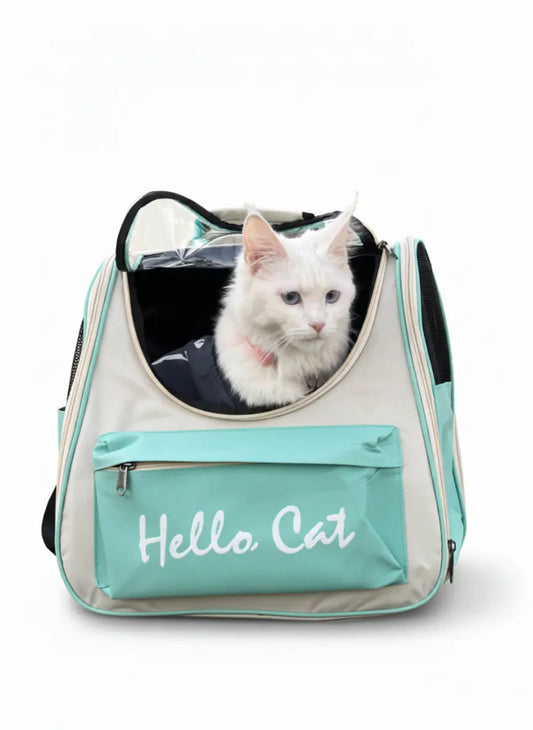 Hello cat bag