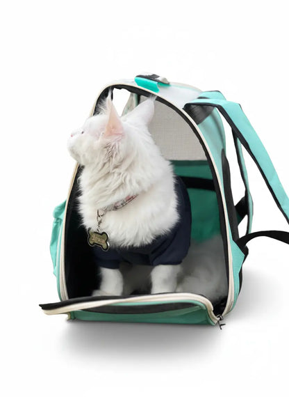 Hello cat bag