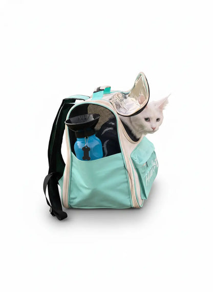 Hello cat bag