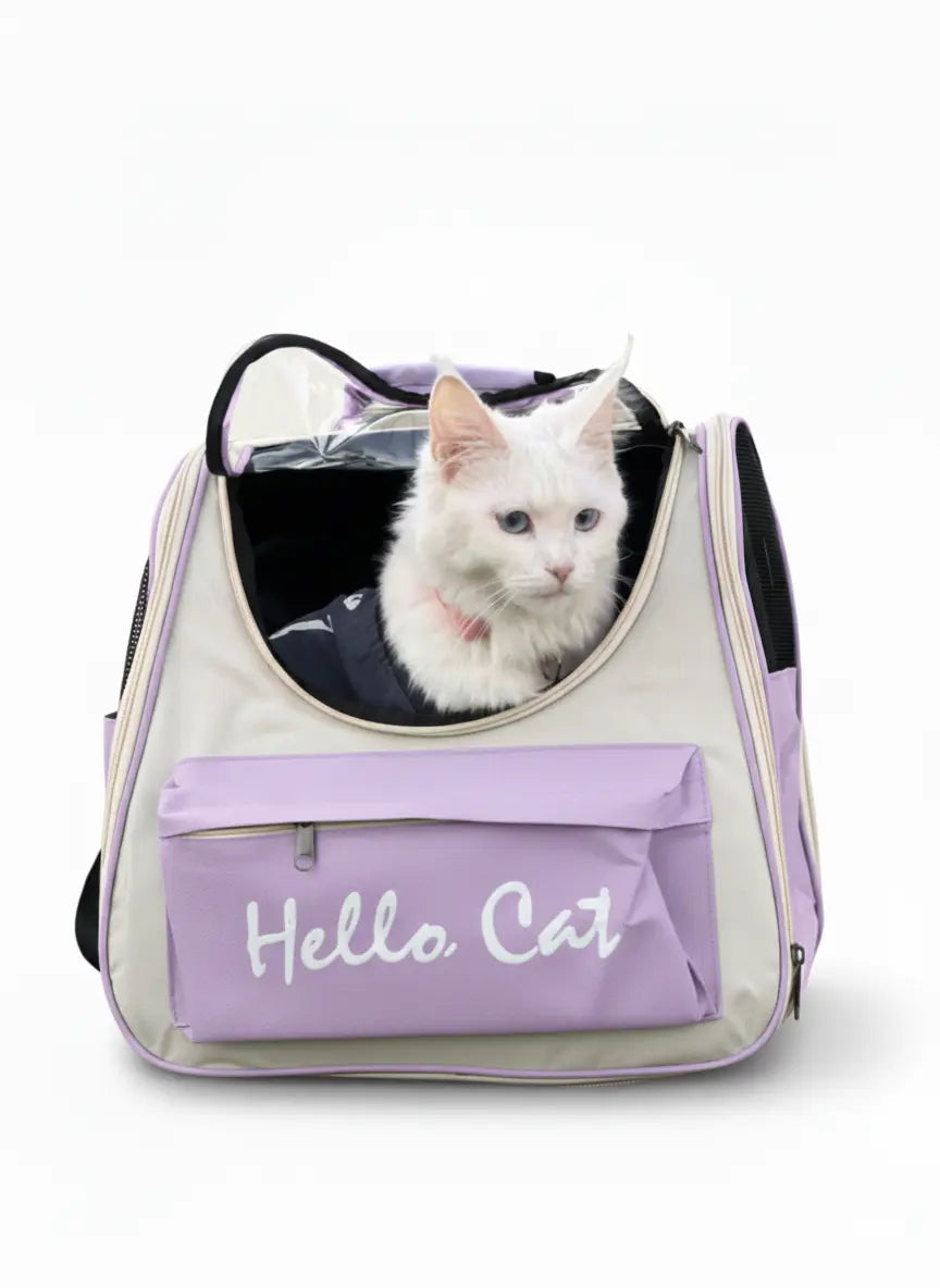 Hello cat bag