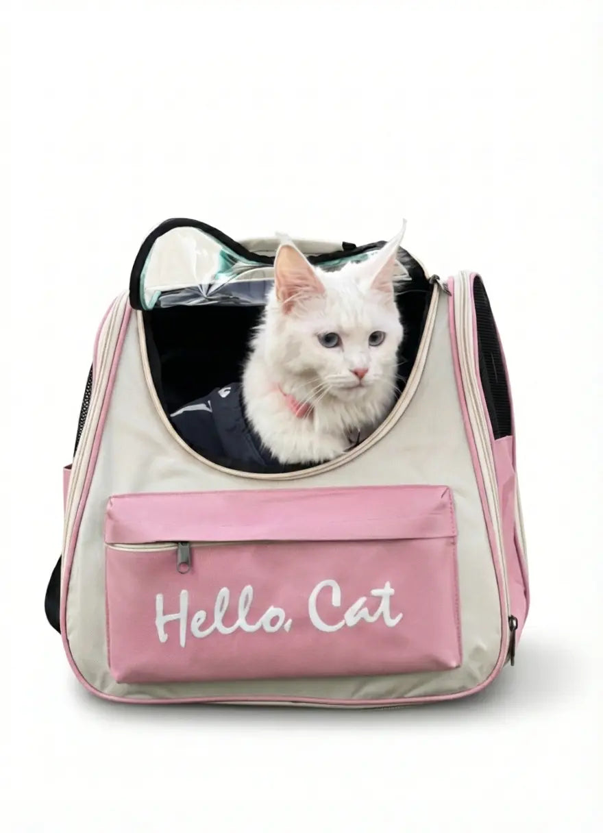 Hello cat bag