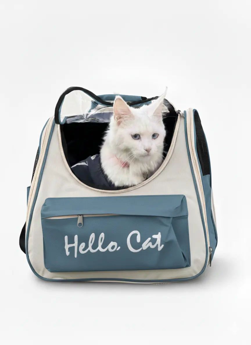 Hello cat bag