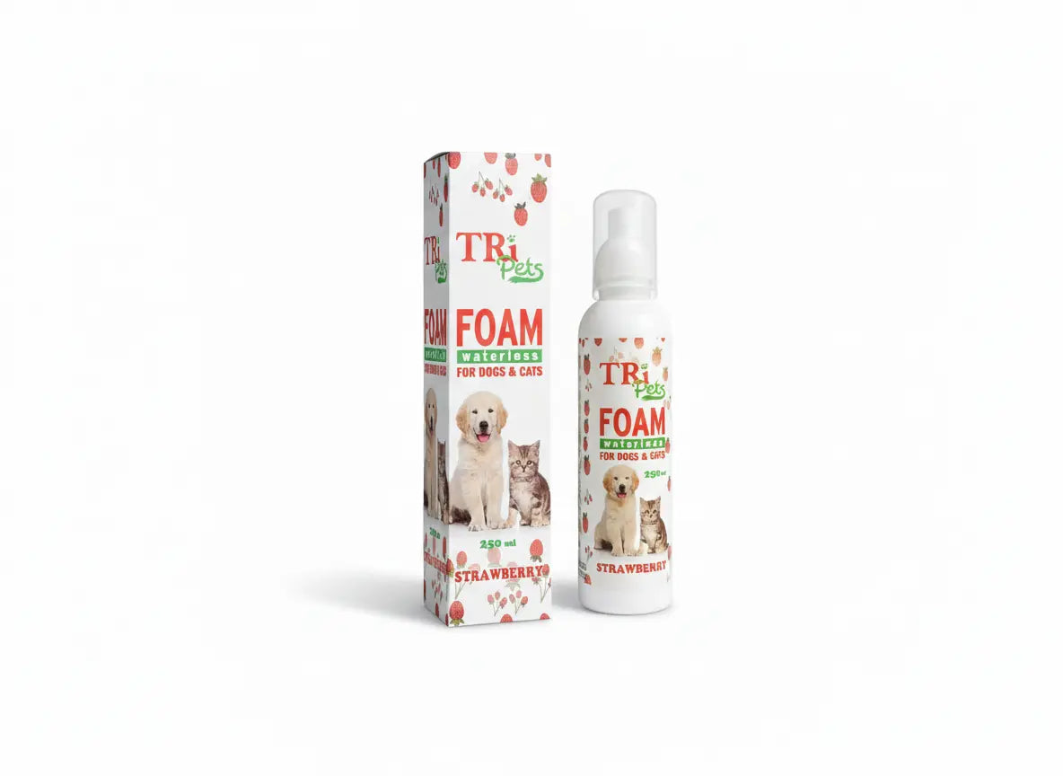 Foaming Shampoo (Waterless)