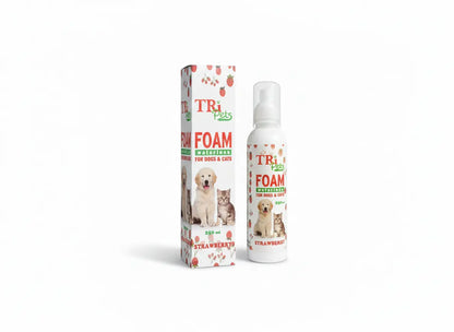 Foaming Shampoo (Waterless)