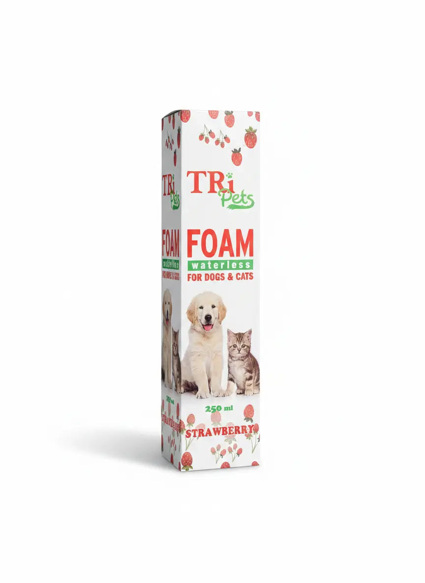 Foaming Shampoo (Waterless)
