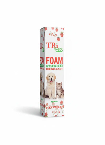 Foaming Shampoo (Waterless)