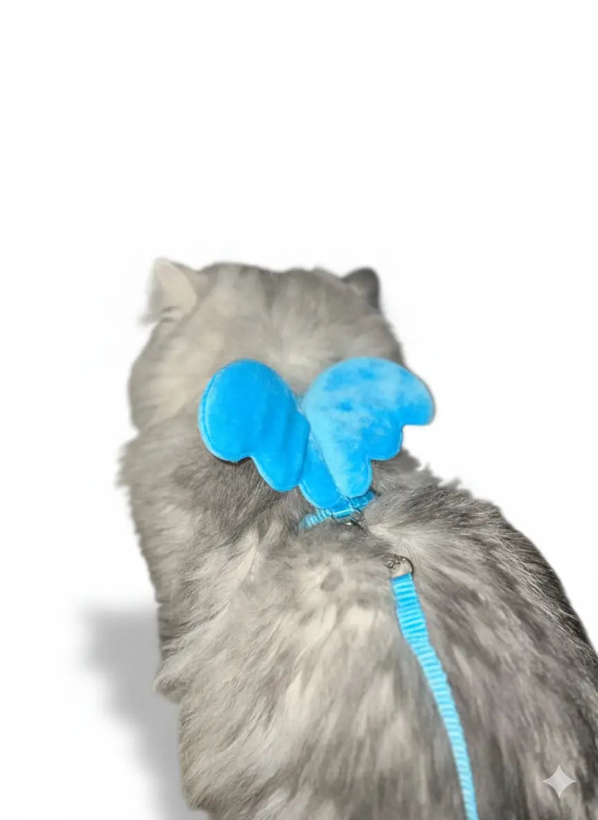 Leo's Butterfly Leash & Harness Set