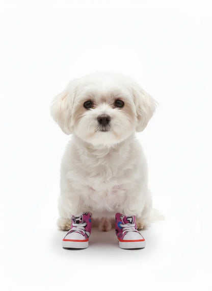 Pet Sneakers