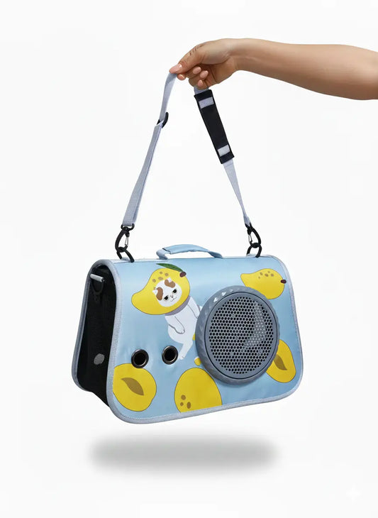 The solo cat bag
