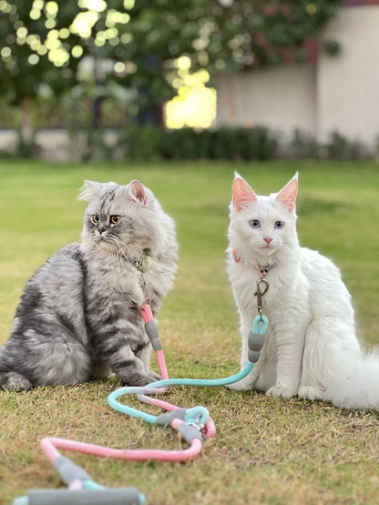 Double leash
