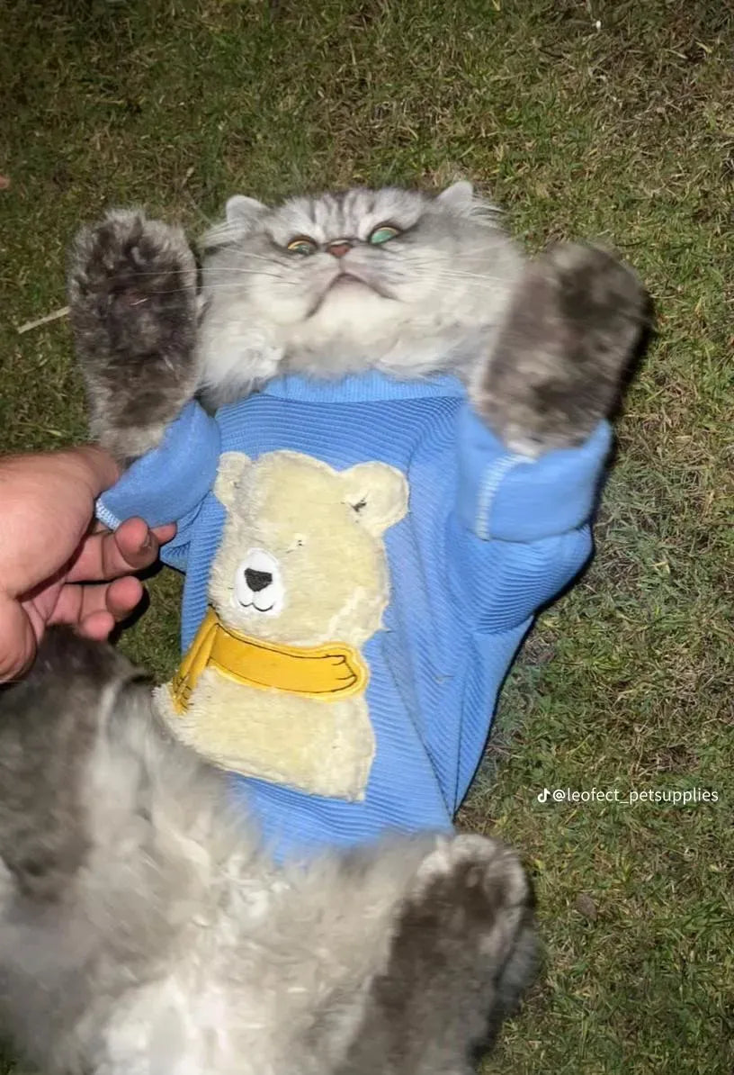 winter shirt