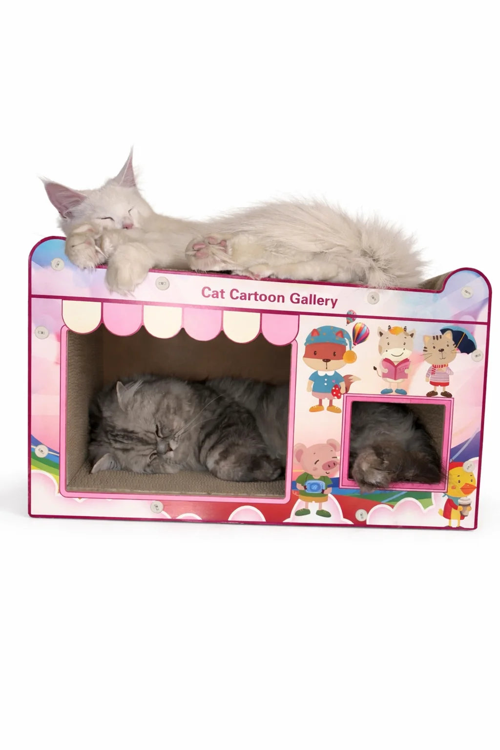Cat Cartoon Scratcher House 