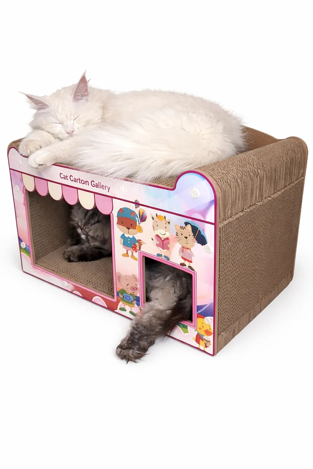 Cat Cartoon Scratcher House 
