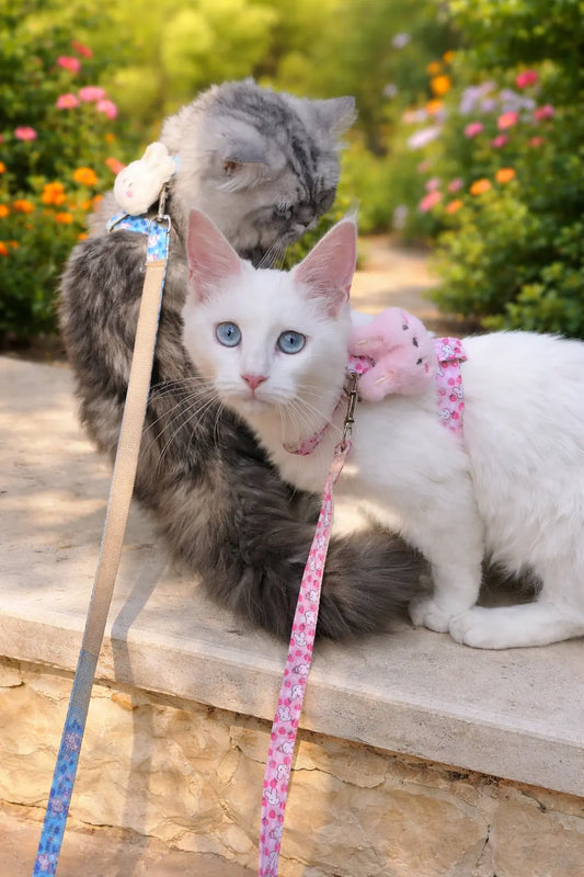 Bunny Harness & Leash Set