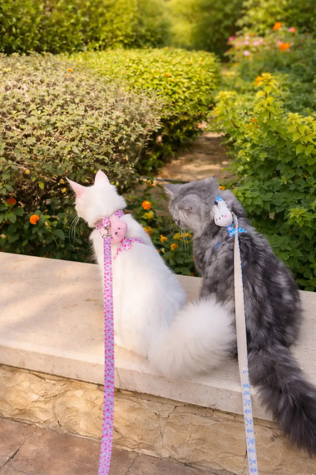 Bunny Harness & Leash Set