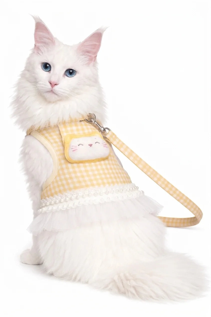 Elegant Dress & Leash Set