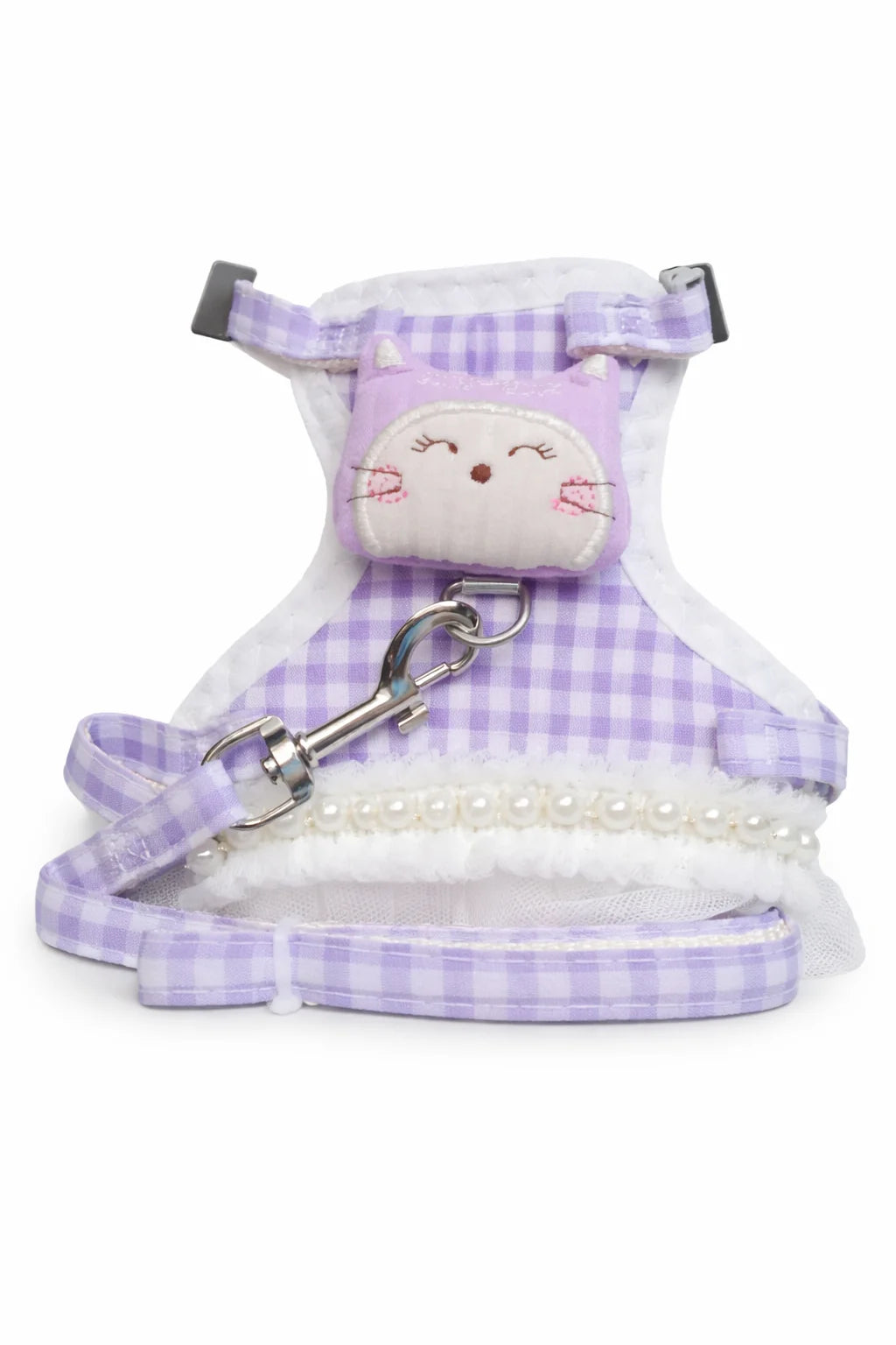 Elegant Dress & Leash Set
