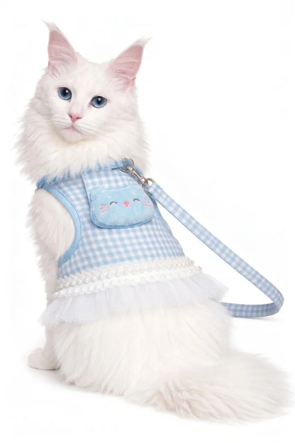 Elegant Dress & Leash Set