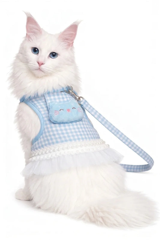 Elegant Dress & Leash Set