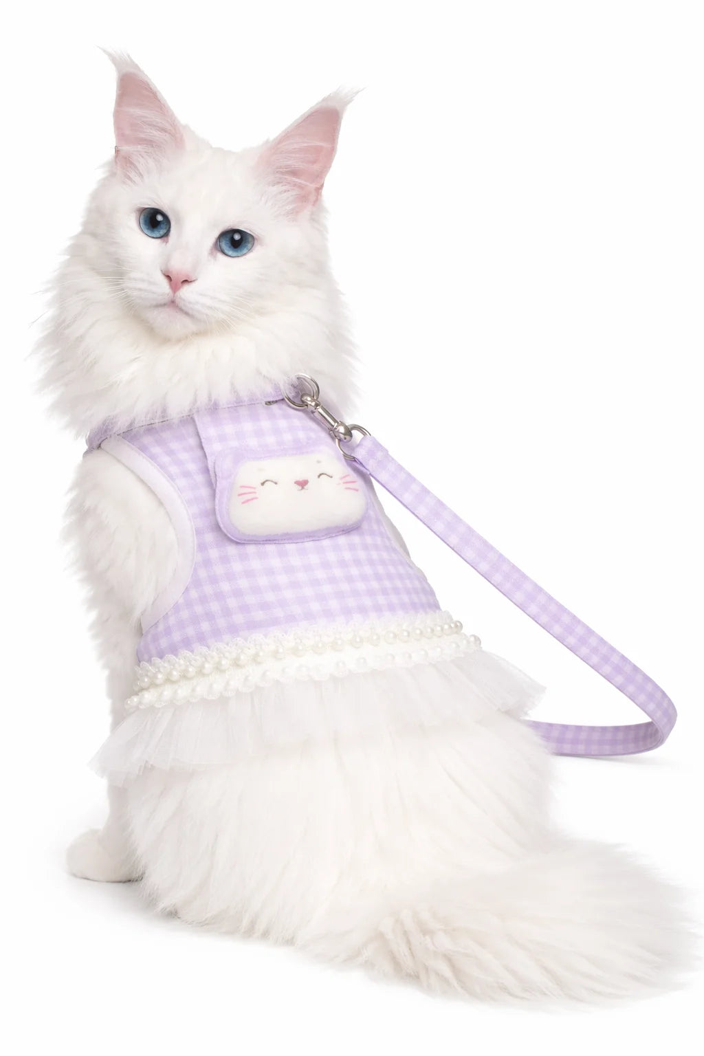 Elegant Dress & Leash Set
