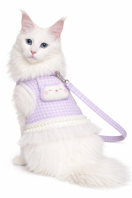 Elegant Dress & Leash Set