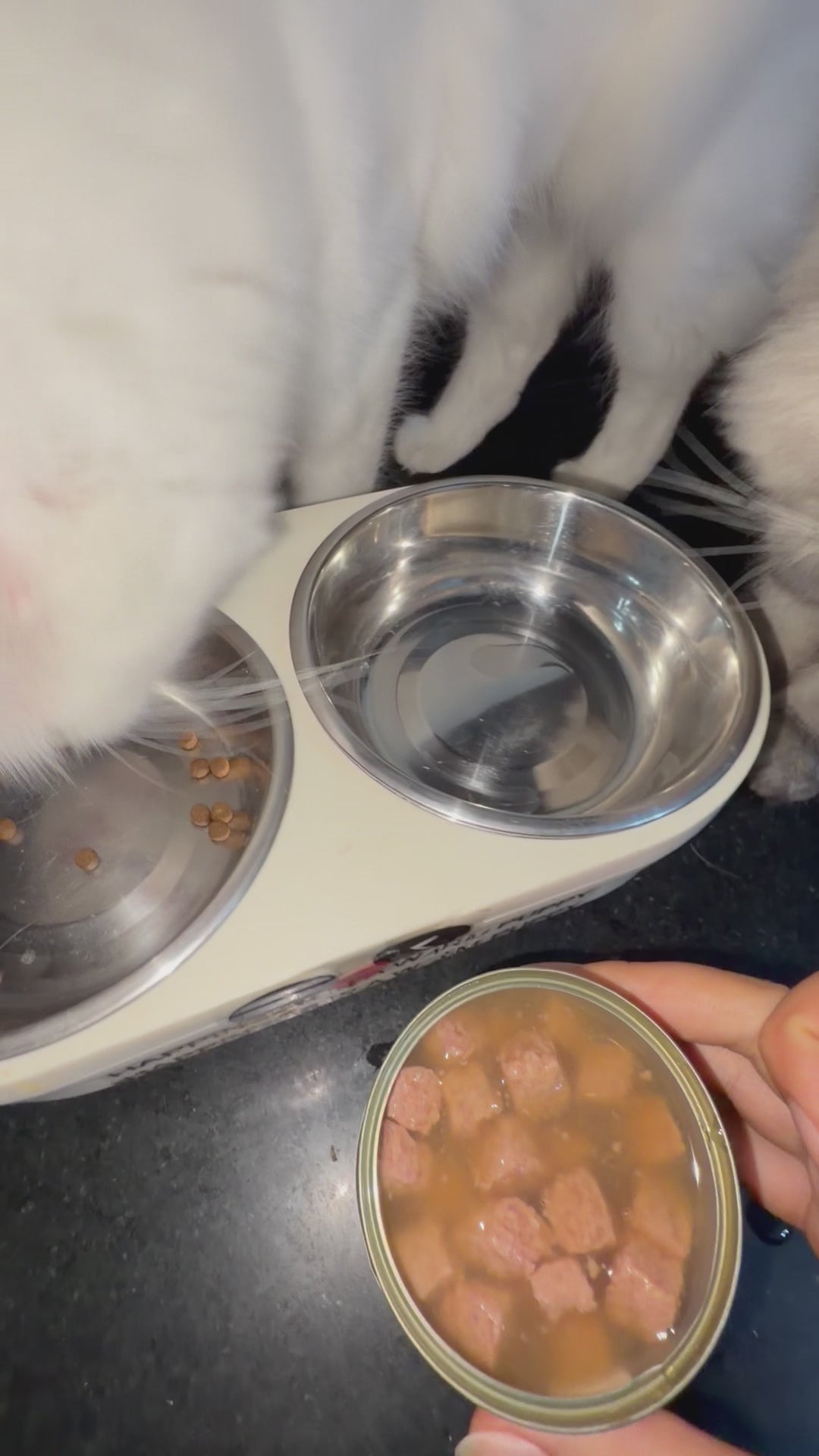 Bestpet Wet Cat Food (400g)