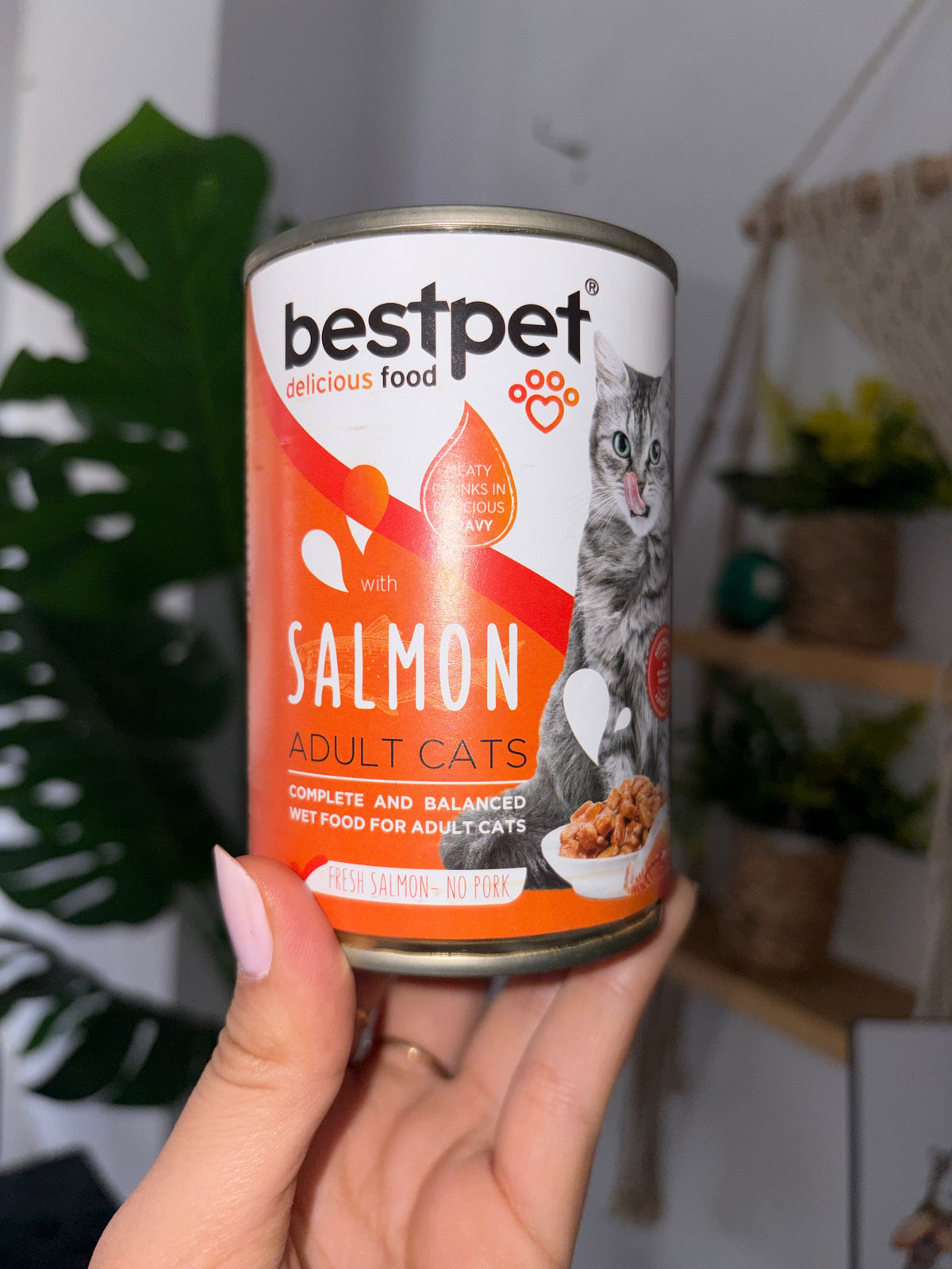 Bestpet Wet Cat Food (400g)