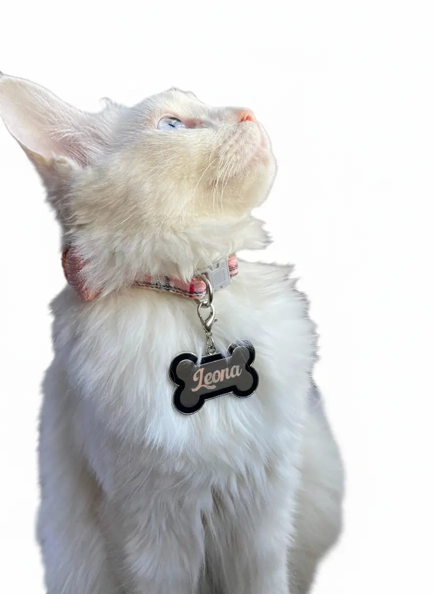 Personalized Stainless Steel Pet ID Tag