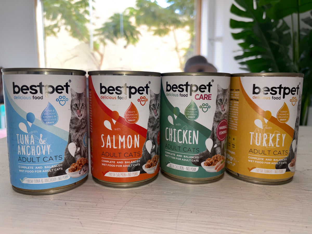 Bestpet Wet Cat Food (400g)