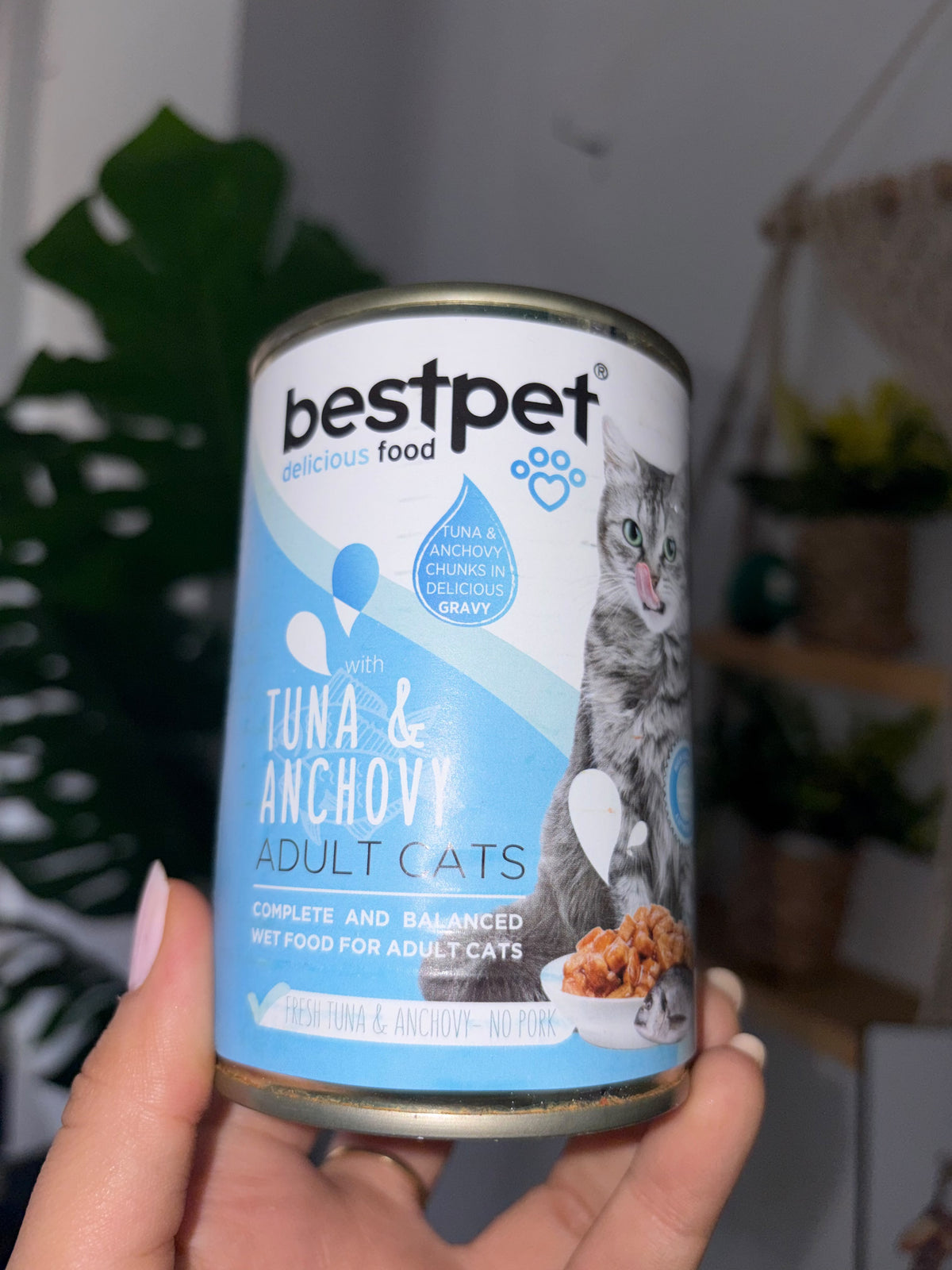 Bestpet Wet Cat Food (400g)