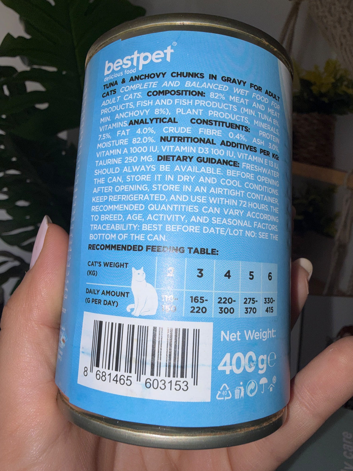 Bestpet Wet Cat Food (400g)