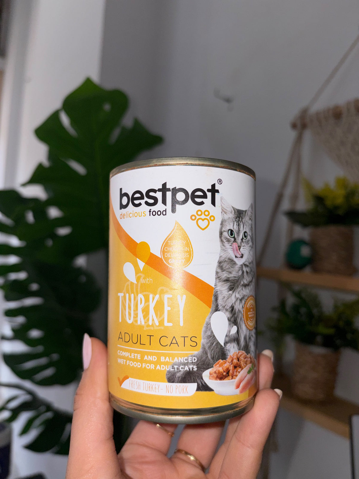 Bestpet Wet Cat Food (400g)