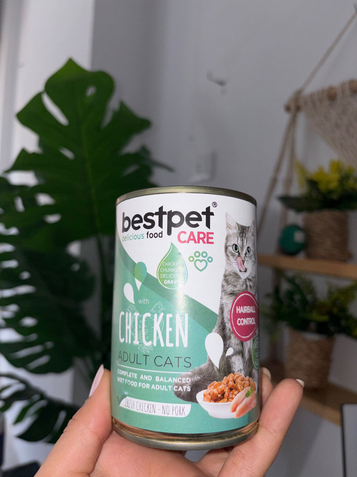 Bestpet Wet Cat Food (400g)