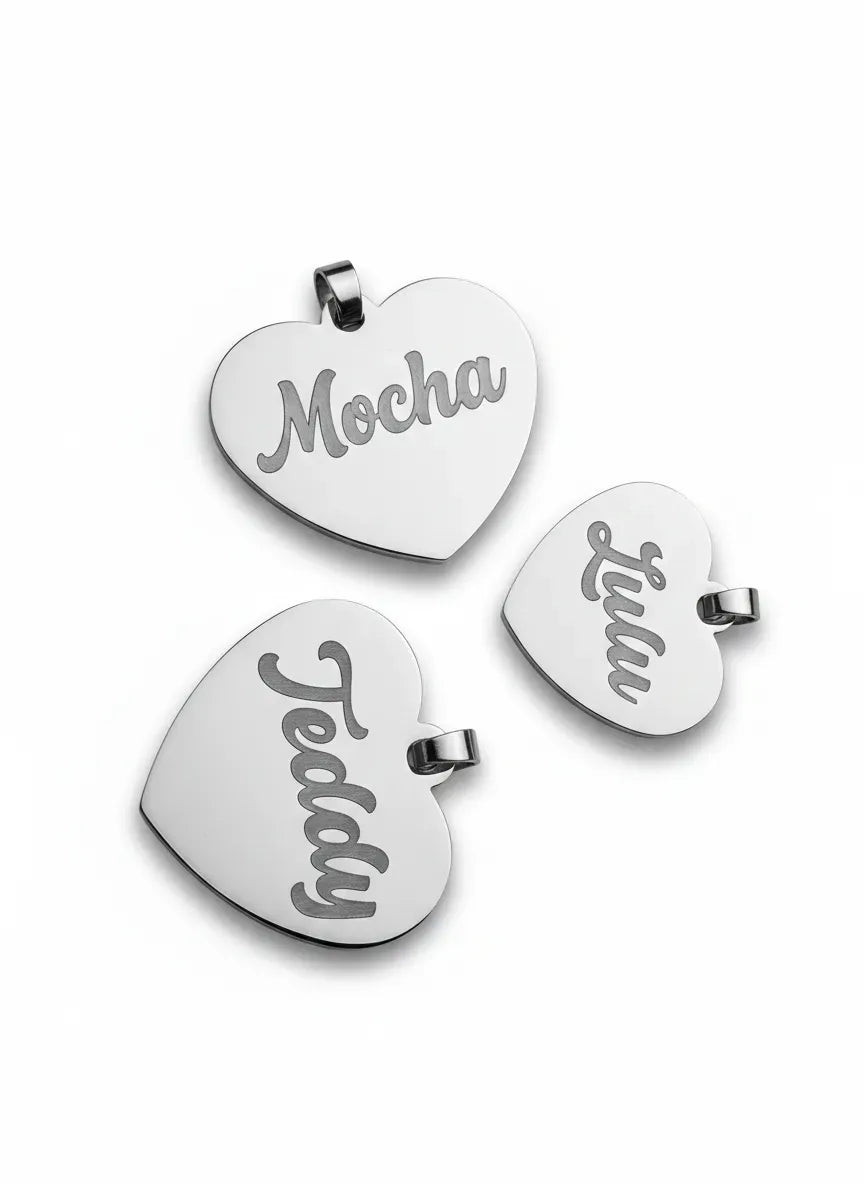 Personalized Stainless Steel Pet ID Tag