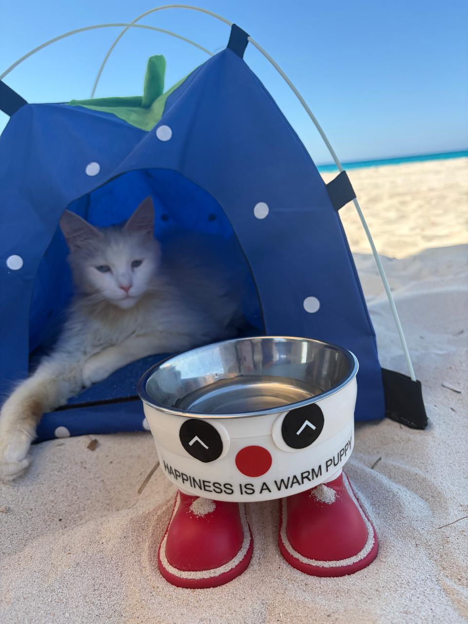 Cute Elevated Pet Bowl 🐾