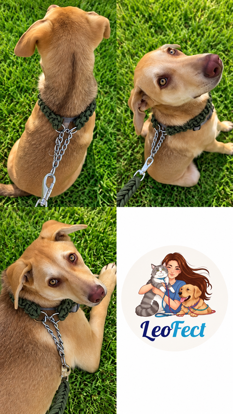 Chocker leash