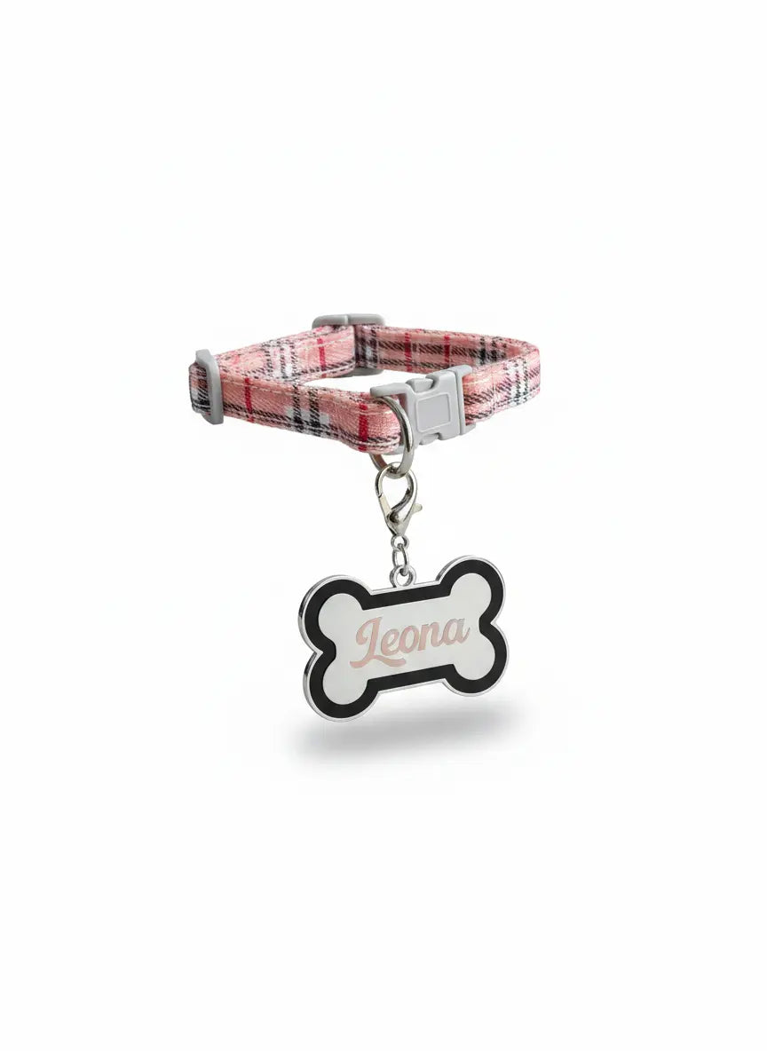 Personalized Stainless Steel Pet ID Tag